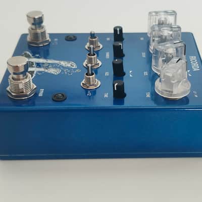 AC Noises Ricorda 2024 - Present - Blue image 2