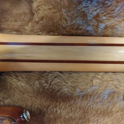 Wal Mk1 Custom 4-string bass guitar 1984 made in UK Mahogany/Schedua image 3