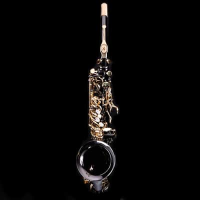 Selmer SAS511B Intermediate Alto Saxophone, Black Nickel image 2