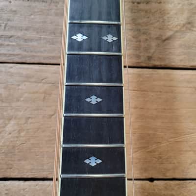 Roy Noble HD-100 Dreadnought Brazillian w/Case 1996 - Natural image 20