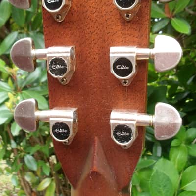 Takamine Elite TW60  Brazilian Rosewood '70 Natural+Hard Case image 6