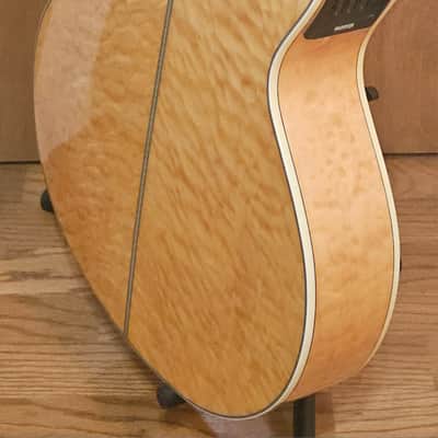 Washburn Festival Series EA20SDL with Chorus Cutaway image 8