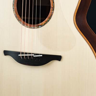 Lowden F-50 Brazilian Rosewood and Adirondack Spruce with Bevel NEW image 9