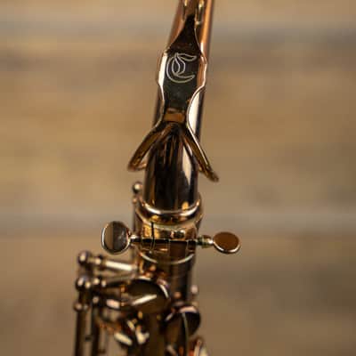 Chateau CAS-50C Alto Saxophone Cognac Lacquer Finish w/Case image 10