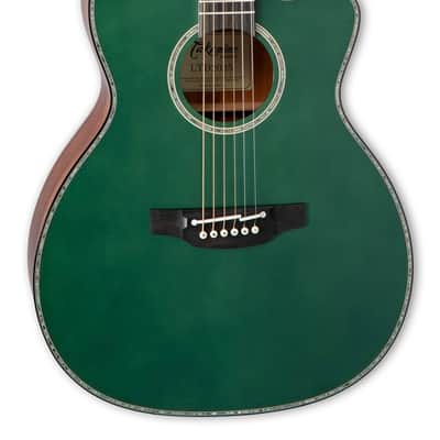 Takamine LTD2025 Gloss Antique Evergreen w/Case image 1