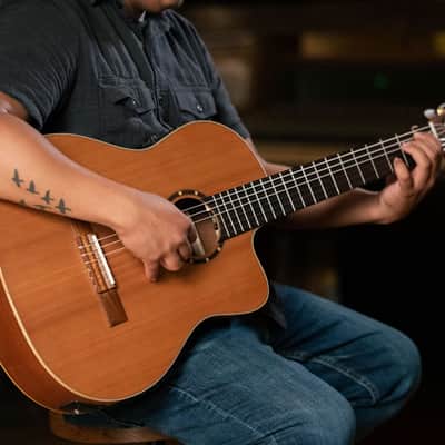 Ortega RCE131 Family Series Pro Solid Cedar Top Mahogany Neck Cutaway Nylon 6-String Classical Acoustic-Electric Guitar w/Gig Bag image 20