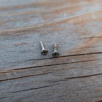 Fender Telecaster 1974 Control Plate Screws (2) image 1