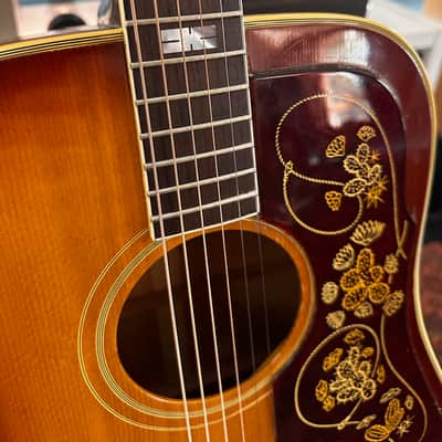 Epiphone Frontier FT-110 1964 image 10