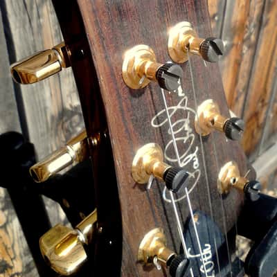 PRS * 20th Anniversary * Singlecut Trem. * Artist image 10