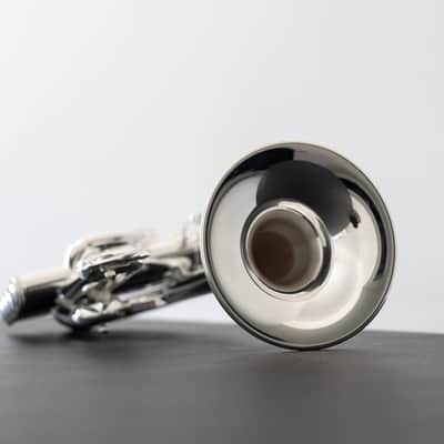 Yamaha YTR-9835 Custom Bb/A Piccolo Trumpet (SN 5734xx) image 17