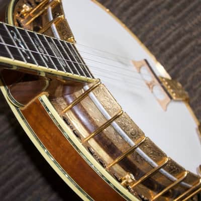 Stelling Staghorn Gold Plated Banjo No. 4510 (c. 1996) image 6