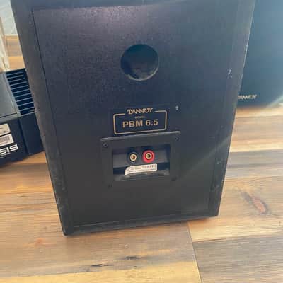 Tannoy PBM 6.5 Pair + Alesis RA-100 Amplifier image 3