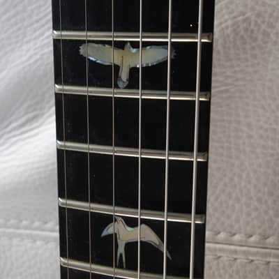 PRS Custom 24 Floyd Wood Library image 3
