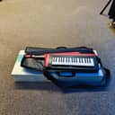 Korg RK-100S 2 Keytar