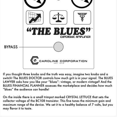 Caroline Guitar Company "The Blues" Expensive Amplifier image 2
