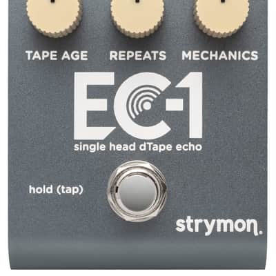 Strymon EC-1 Single Head dTape Echo - Metallic Grey image 1