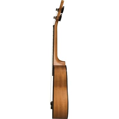 Immagine Epiphone EpiLani Sopran Ukulele - 2