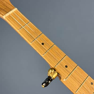 Pisgah Possum 11" 5-String Banjo with Persimmon Tone Ring Walnut Rim and Neck, Persimmon Fretboard image 12