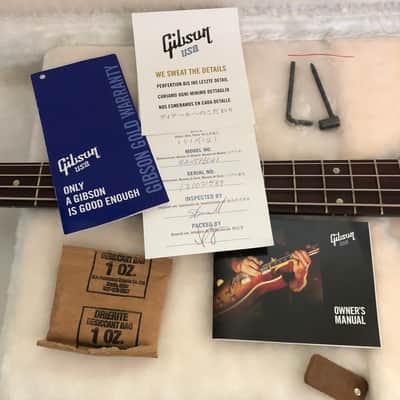 Gibson Non-Reverse Thunderbird 2012 Pelham Blue *upgrades* image 9