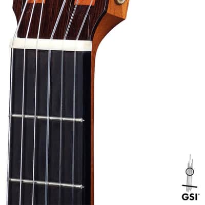 Kevin Aram Reba 1998 Classical Guitar Spruce/Sycamore image 10