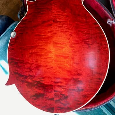 Gibson The Gibson F4 Mandolin 1920 image 7