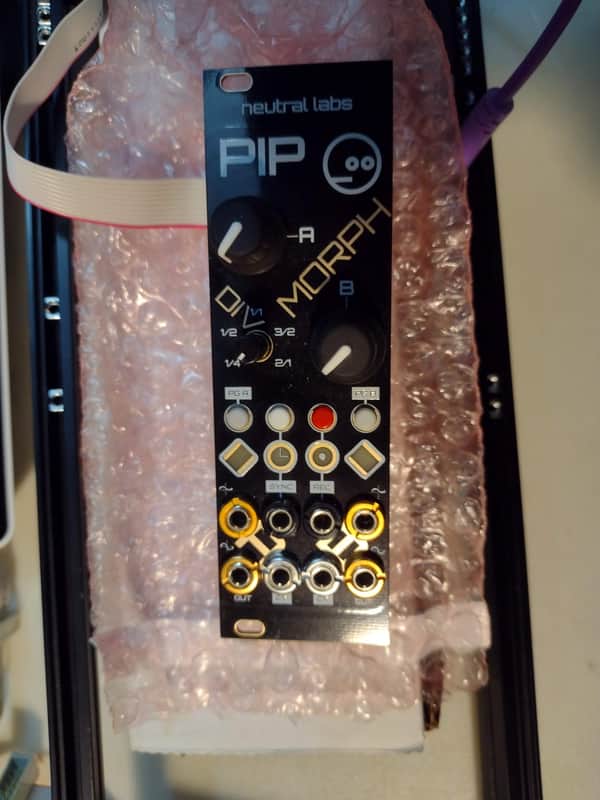 Neutral Labs Pip Eurorack Complex Modulation Module 2020's - Black image 1