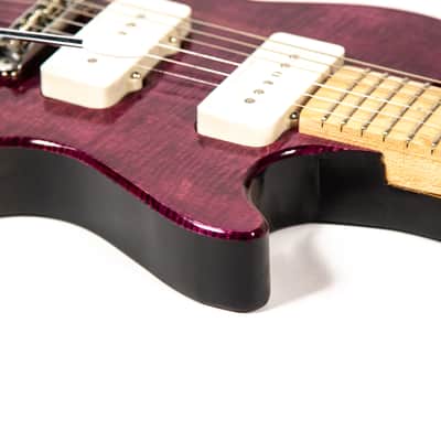 Luppiro Custom Guitar Owned by Mike Campbell image 12