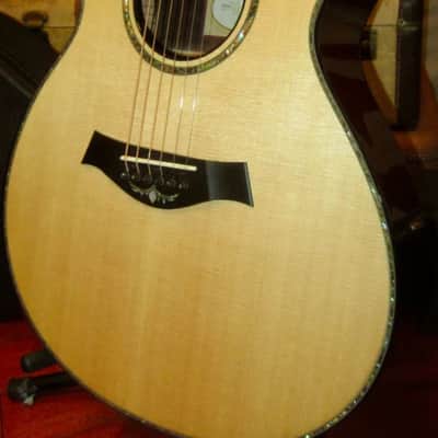 Taylor PS12ce presentation 2024- Gloss image 1