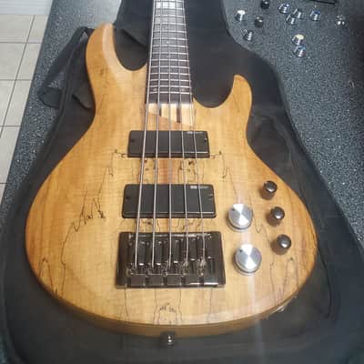 ESP LTD ACTIVE 5 string Bass Spalted Maple with EXTRAS **minty** image 1