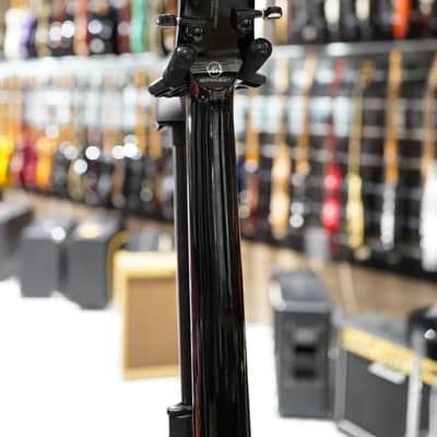 VGS Guitars Eruption Select Evertune image 6