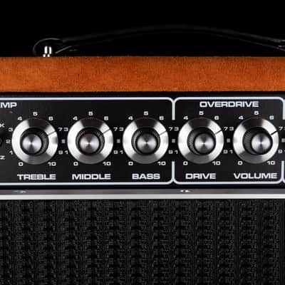 Pre-Owned  '22 Amplified Nation Bombshell 50-Watt Guitar Amp Head And 112 15-ohm 65-watt Matching Cab - Golden Brown Suede Owned by Ben Harper image 5
