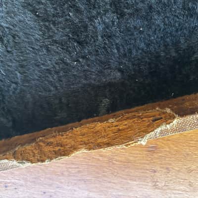 Vintage 1956 Danelectro Hardshell Case – Generously Relic'd by Time, Wildlife, and "KC" image 22