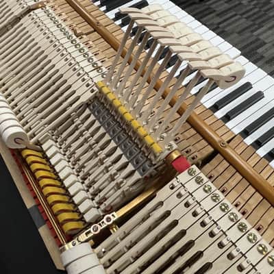 Steinway Model O 5'10" Grand Piano 1901 (Restored) - Polished Ebony image 20