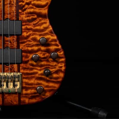 Peavey Cirrus Custom Shop 6 String bass - The "Poor Man’s Ken Smith" of Ghospel image 6