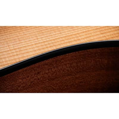 Taylor 150ce Bajo Quinto Layered Sapele 10-String Acoustic-Electric Guitar image 10