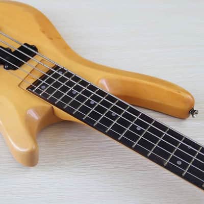 Custom 5 String Electric Bass, 24 Frets Fingerboard image 3