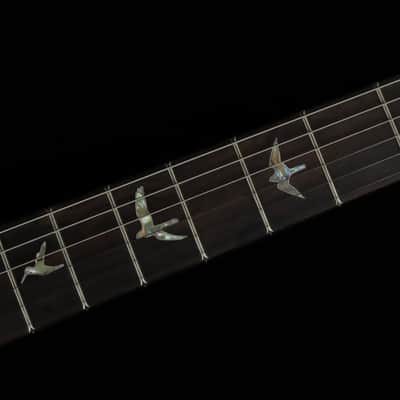 Paul Reed Smith Custom 24 Mango Top Limited Edition - BO (#708) image 8