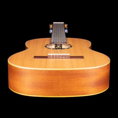 Ortega R131 Family Series Pro Solid Cedar Top Mahogany Neck Nylon 6-String Classical Acoustic Guitar w/Gig Bag image 10