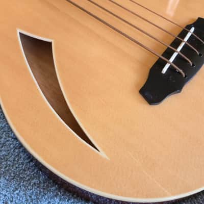 ESP LTD TL-4Z Hollowbody 2016 - 2018 Natural Gloss image 3