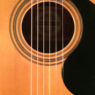 Gurian Jumbo Guitar 1970s image 6