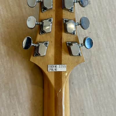 Electra 2246 Phantom Neck - Dan Armstrong Lucite copy - 70s image 6