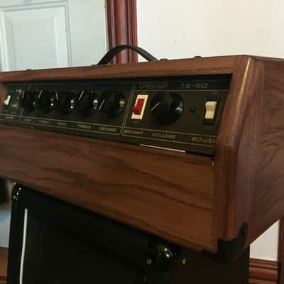 Traynor TS-50 Vintage Amplifier Head in Custom Cab image 6