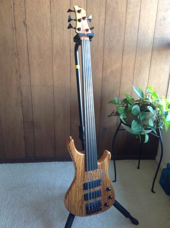 Roscoe LG-2000 flattop fretless image 1