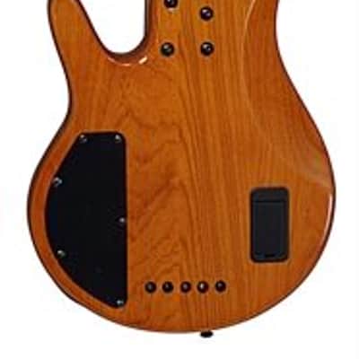 Michael Kelly Pinnacle 5-String Bass Electric Bass Guitar with Natural Burl Finish image 7
