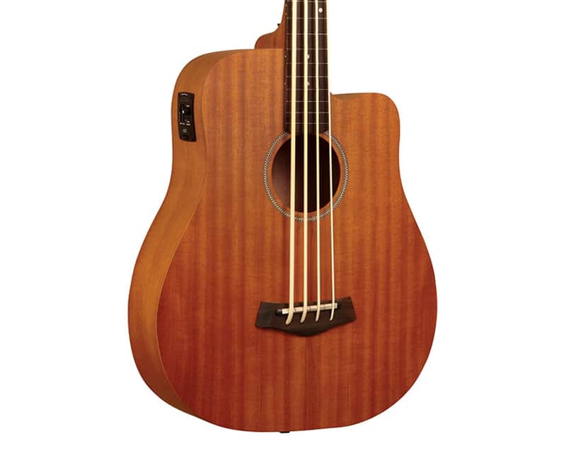 Gold Tone M-Bass25/FL Fretless 25.5" Scale Microbass - Open Box image 1