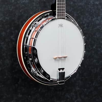 Ibanez Model B200 5-String Closed Back Banjo, Mahogany Gloss Resonator image 3