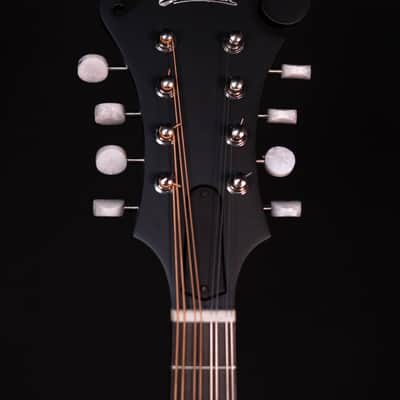 Eastman MD315 F-Style Mandolin with Bag image 9