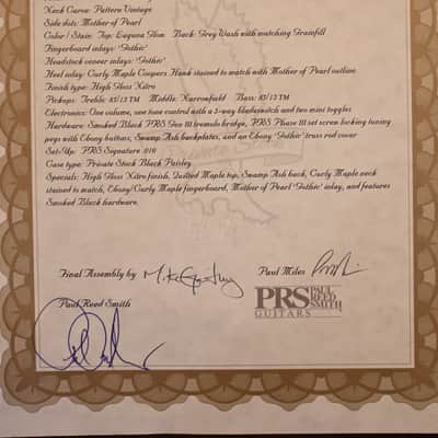 PRS Private Stock Special Semi-Hollow Gothic - Laguna Glow #10568 image 19