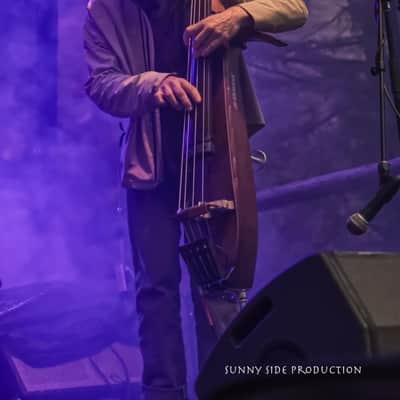 NEW Krivo Handmade Magnetic Pickup for Upright Bass. image 5