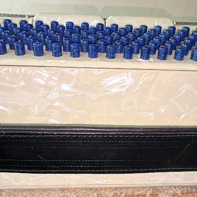Salanti 41 / 120 "Ladies Sized" Accordion Near Mint Condition image 10